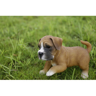 boxer puppy statue